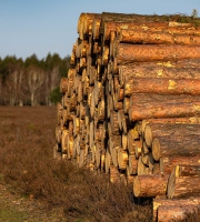 Apel illaceri blacipsaped qui ut harchit eatius